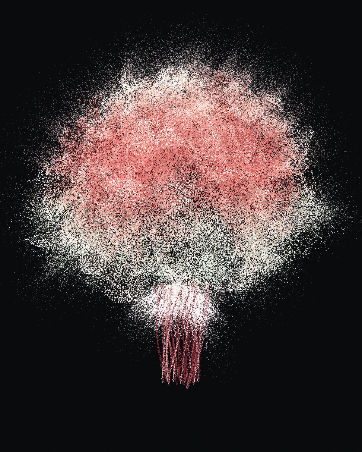Particle bouquet on deep black: a luminous mass of coral and cream ruffled roses over a pale grey-green filler tier, a white lace burst, and a burgundy stem bundle, its edges dissolving into a spray of light