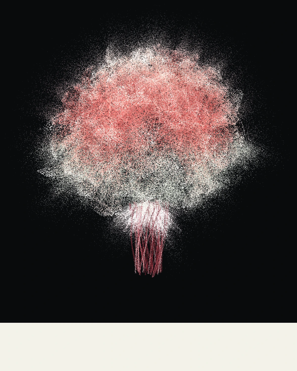 A particle bouquet on deep black: a luminous mass of coral and cream ruffled roses over a pale grey-green filler tier, a white lace burst, and a burgundy stem bundle, its edges dissolving into a spray of particles